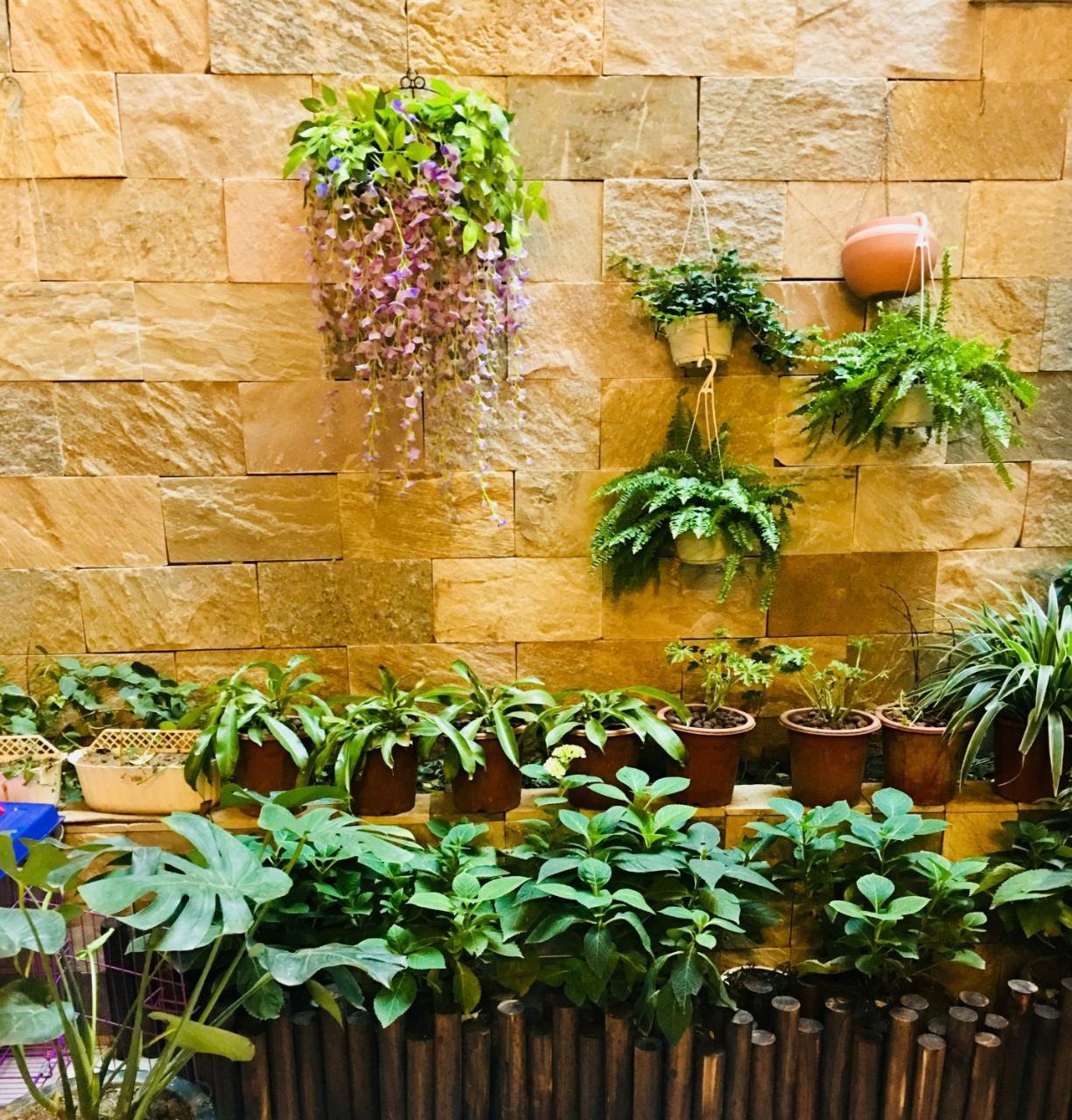 March Garden Next To The Furniture Market 順徳区 エクステリア 写真